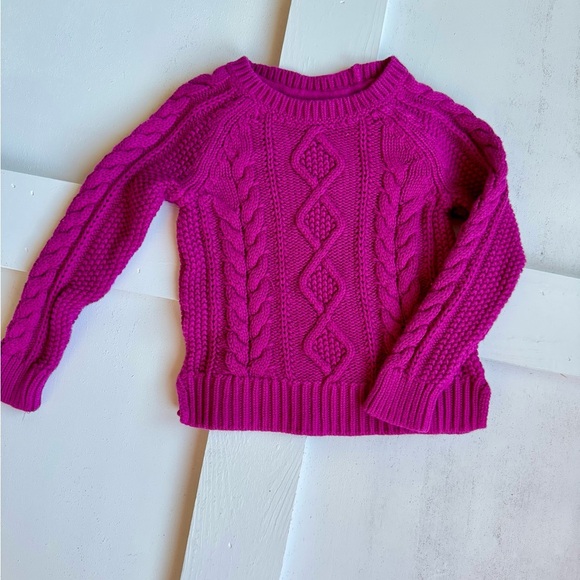 GAP Other - Kids Purple Cable Knit Sweater